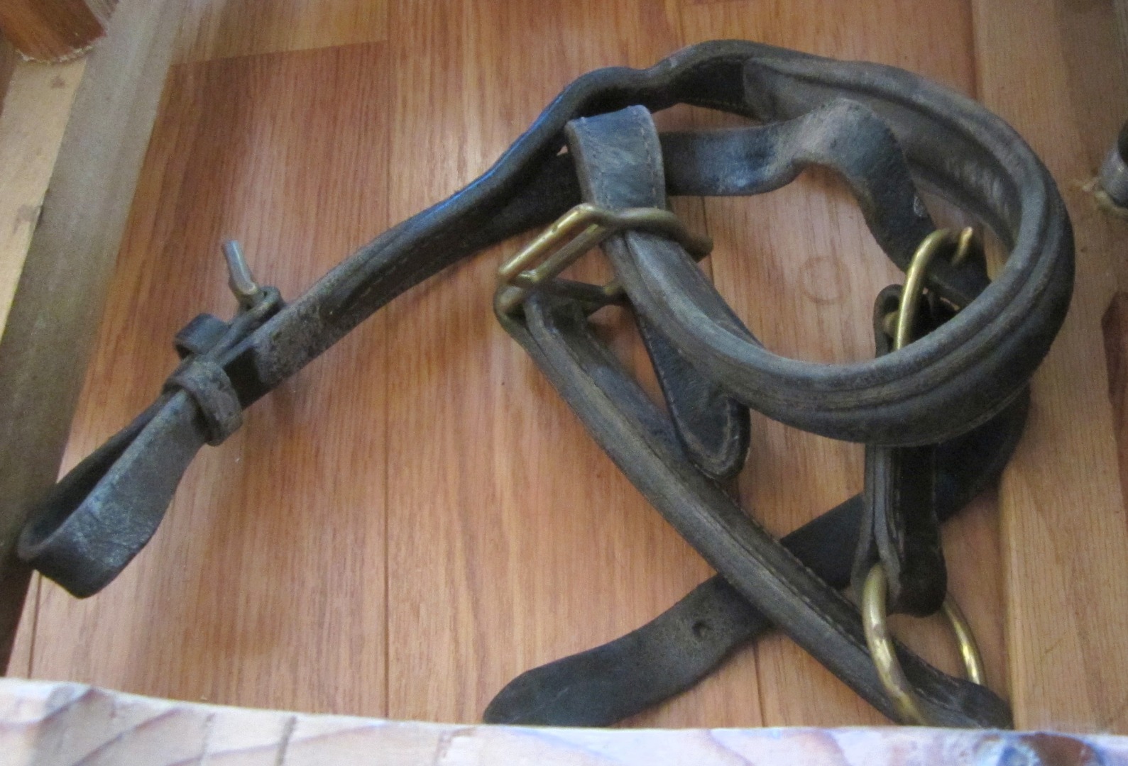 bridle.JPG