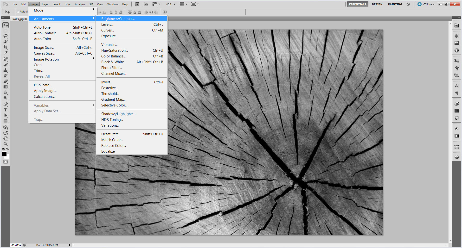 brightness contrast.jpg