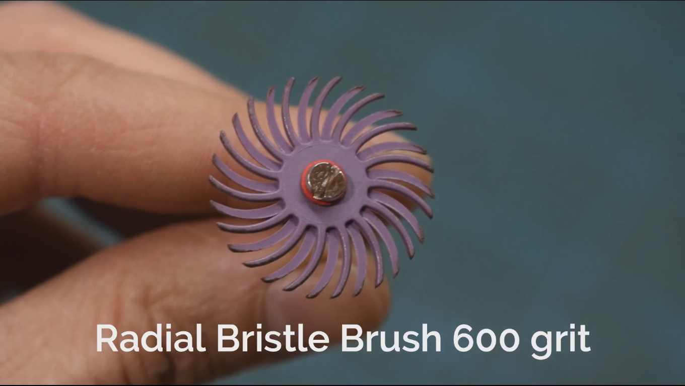 bristle600.PNG