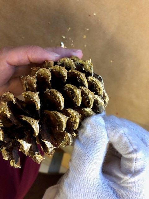 buffing pine cones.jpg