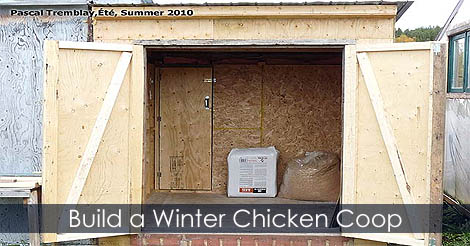 build-a-winter-chicken-coop.jpg