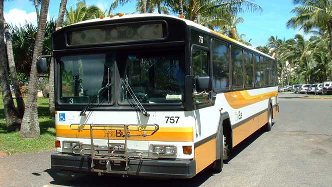 bus.jpg