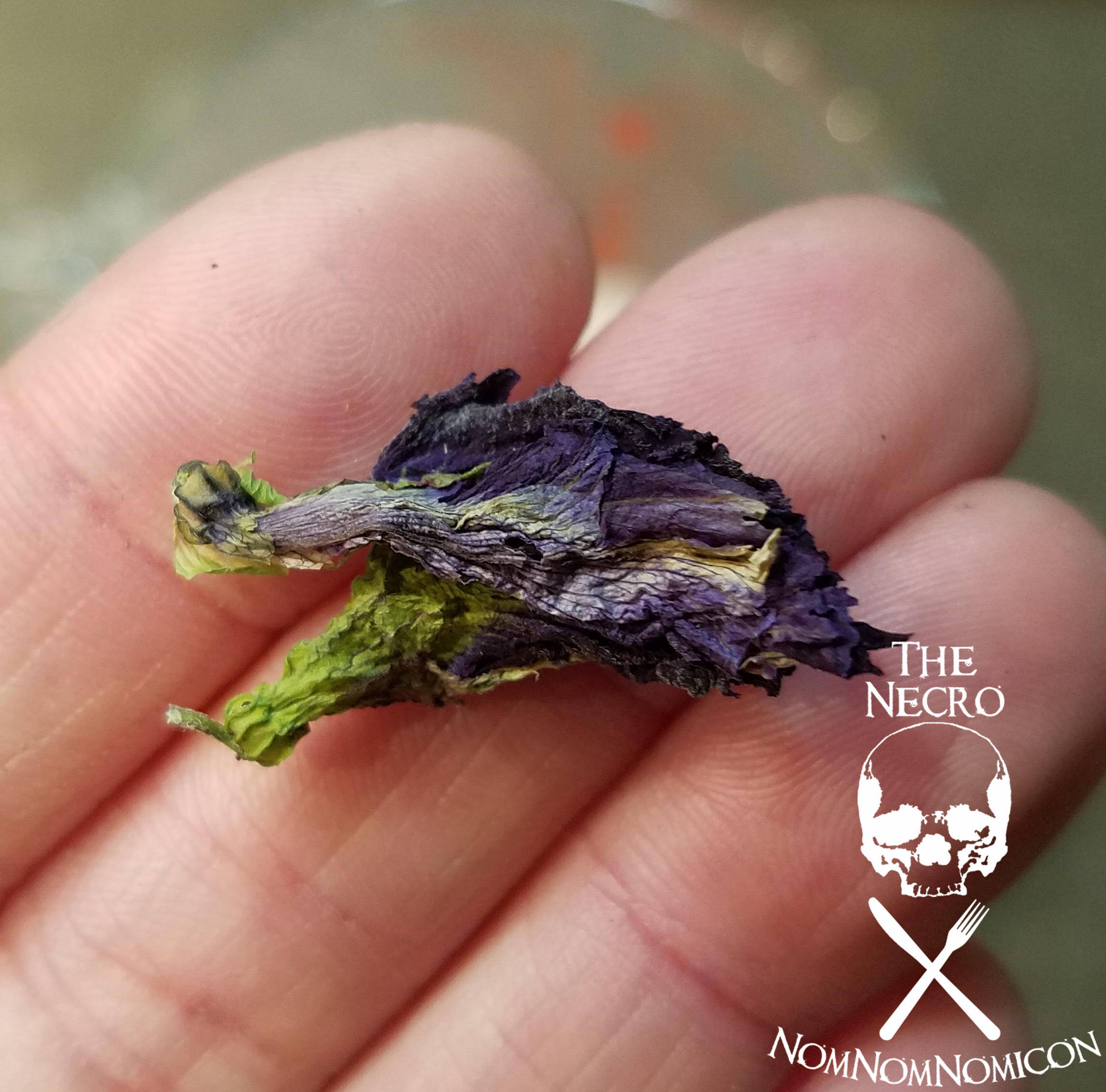 butterfly pea flowers.png