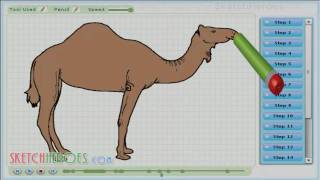 camel.jpg