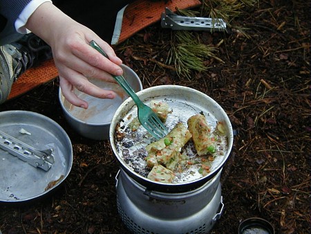 camp_cooking450.jpg