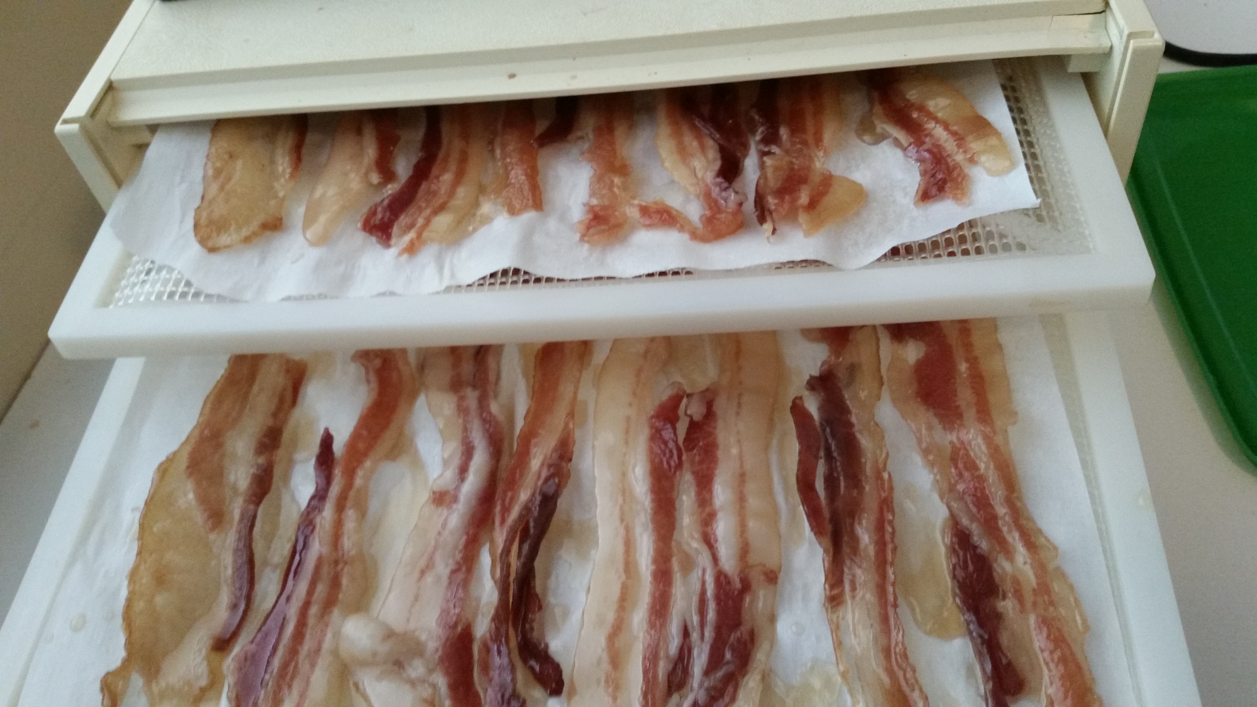 candied bacon- rehydrate 2.jpg