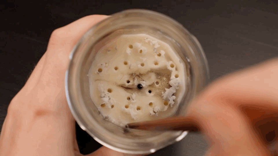 candle jar wax 3.gif