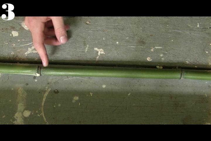 capture3.JPG