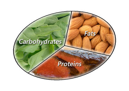 carb-fat-protein.jpg