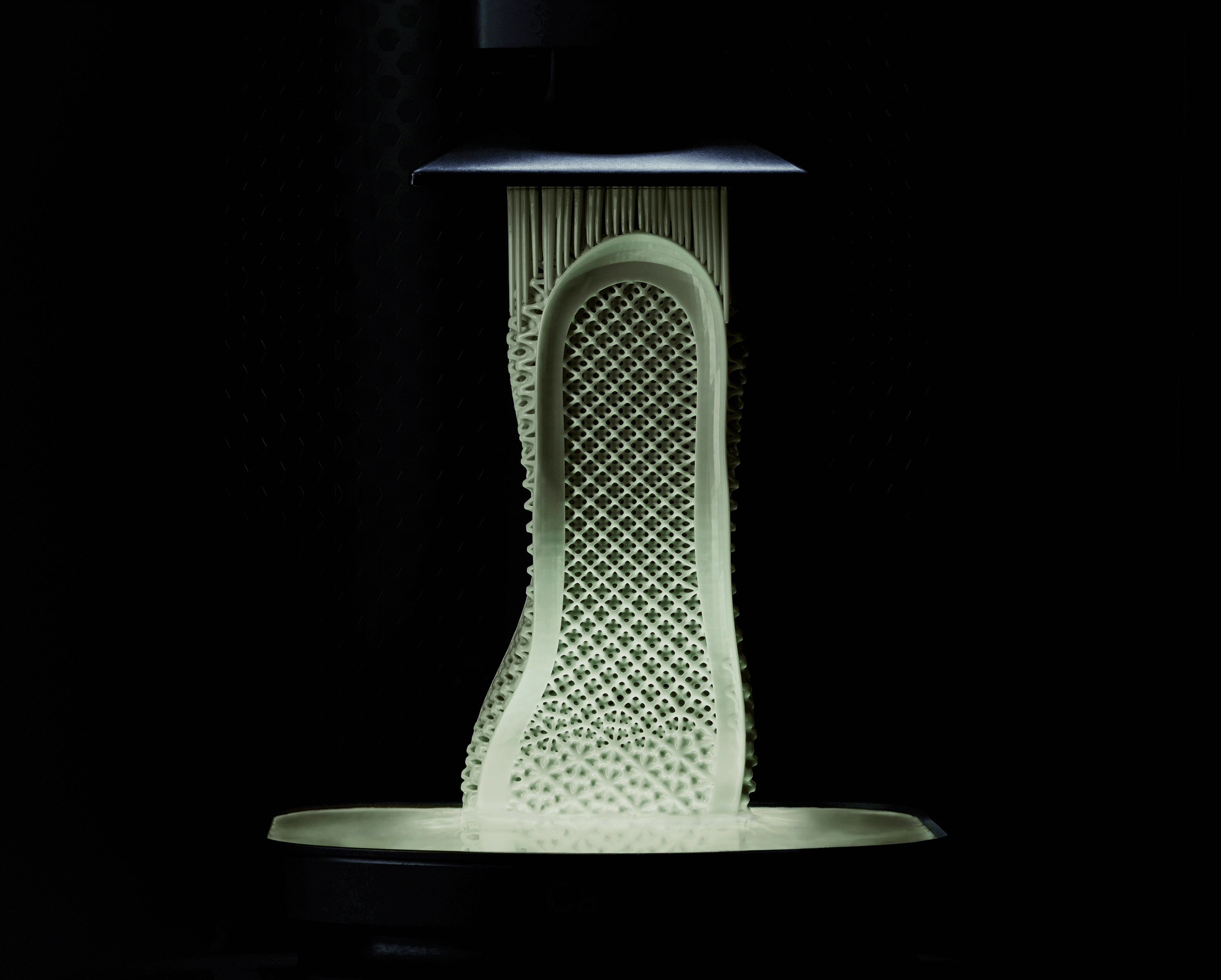 carbon 3d shoe.png