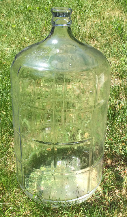 carboy empty .jpg