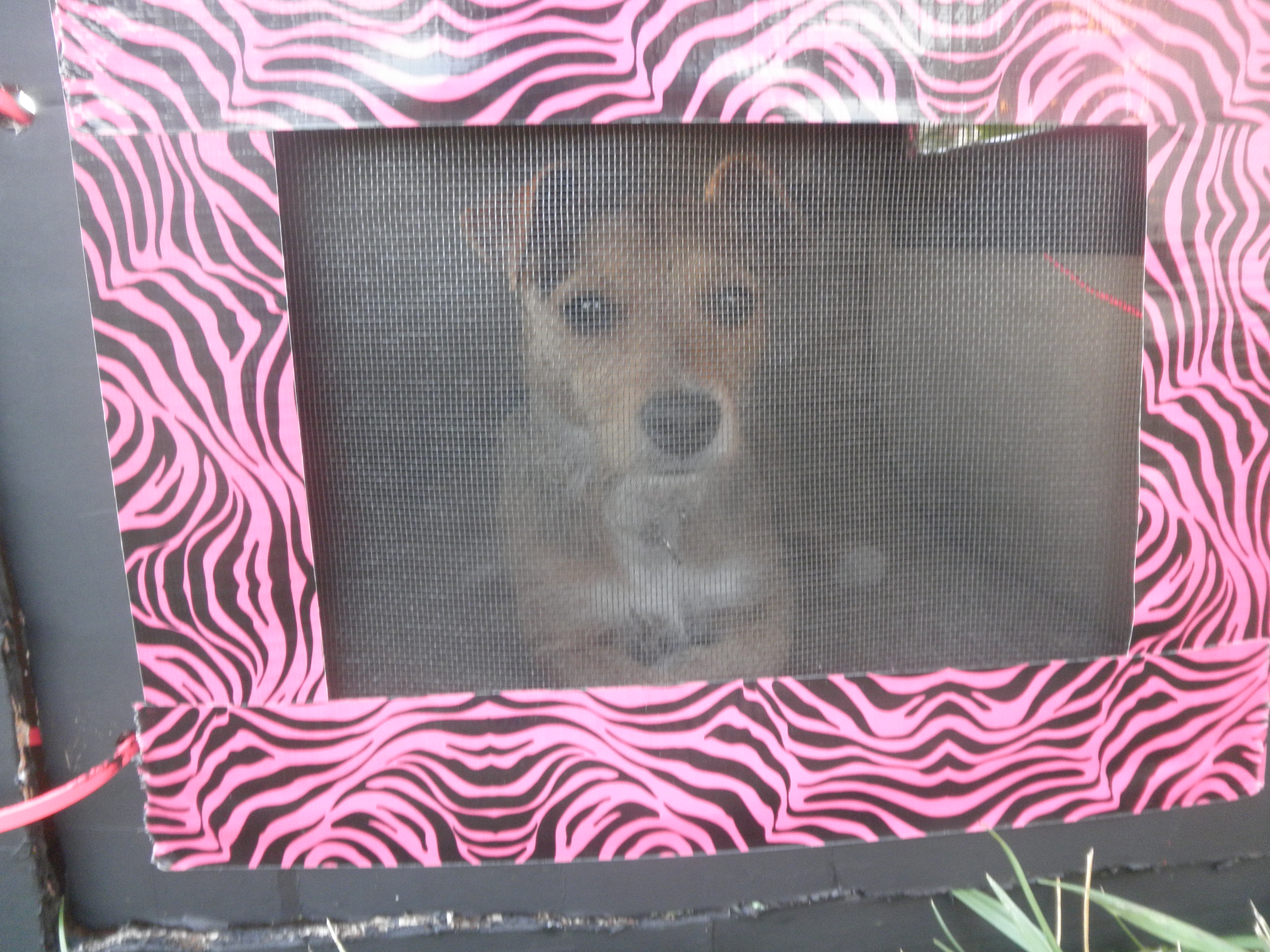 cardboard dog crate 046.JPG