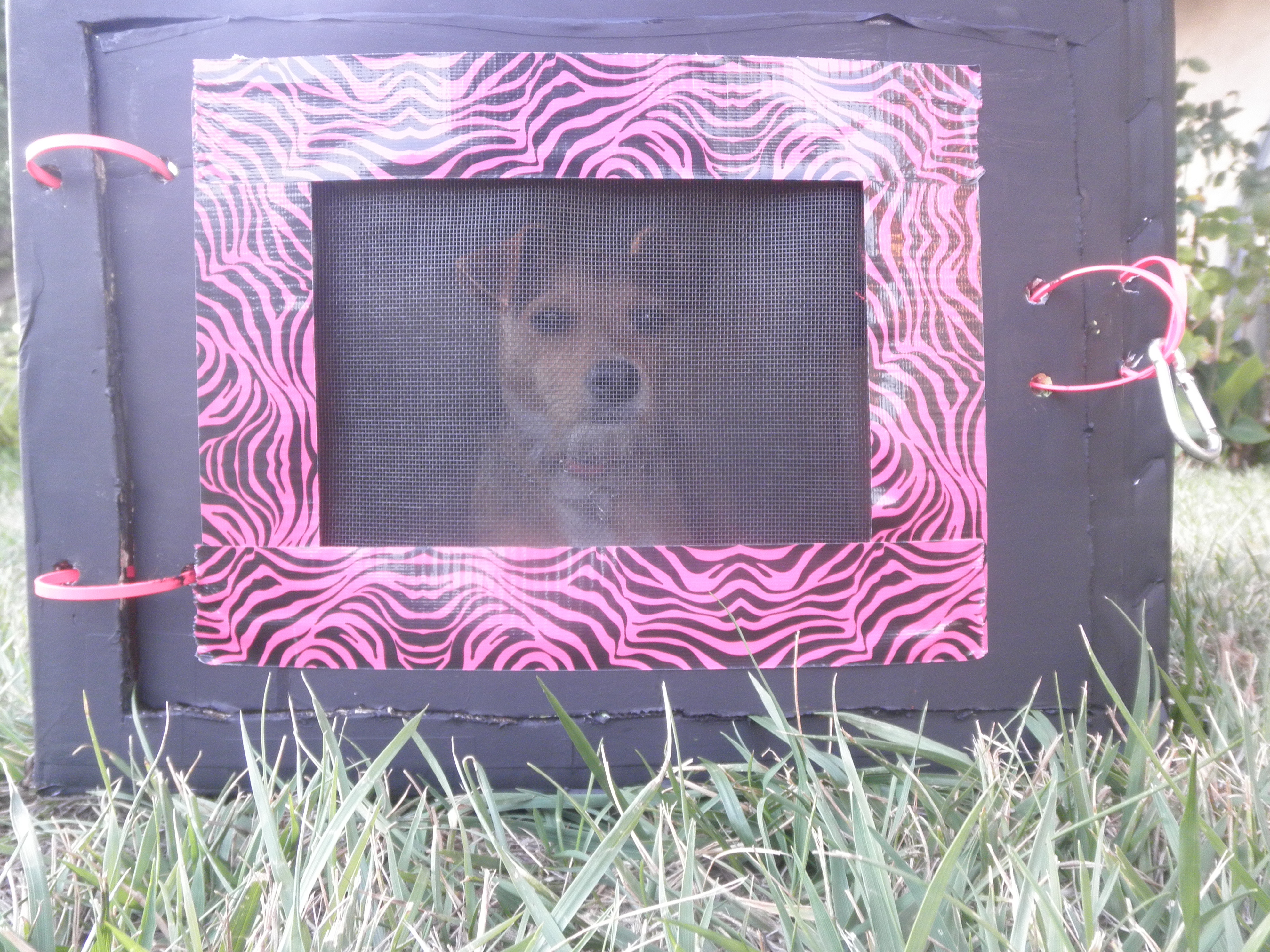 cardboard dog crate 047.JPG