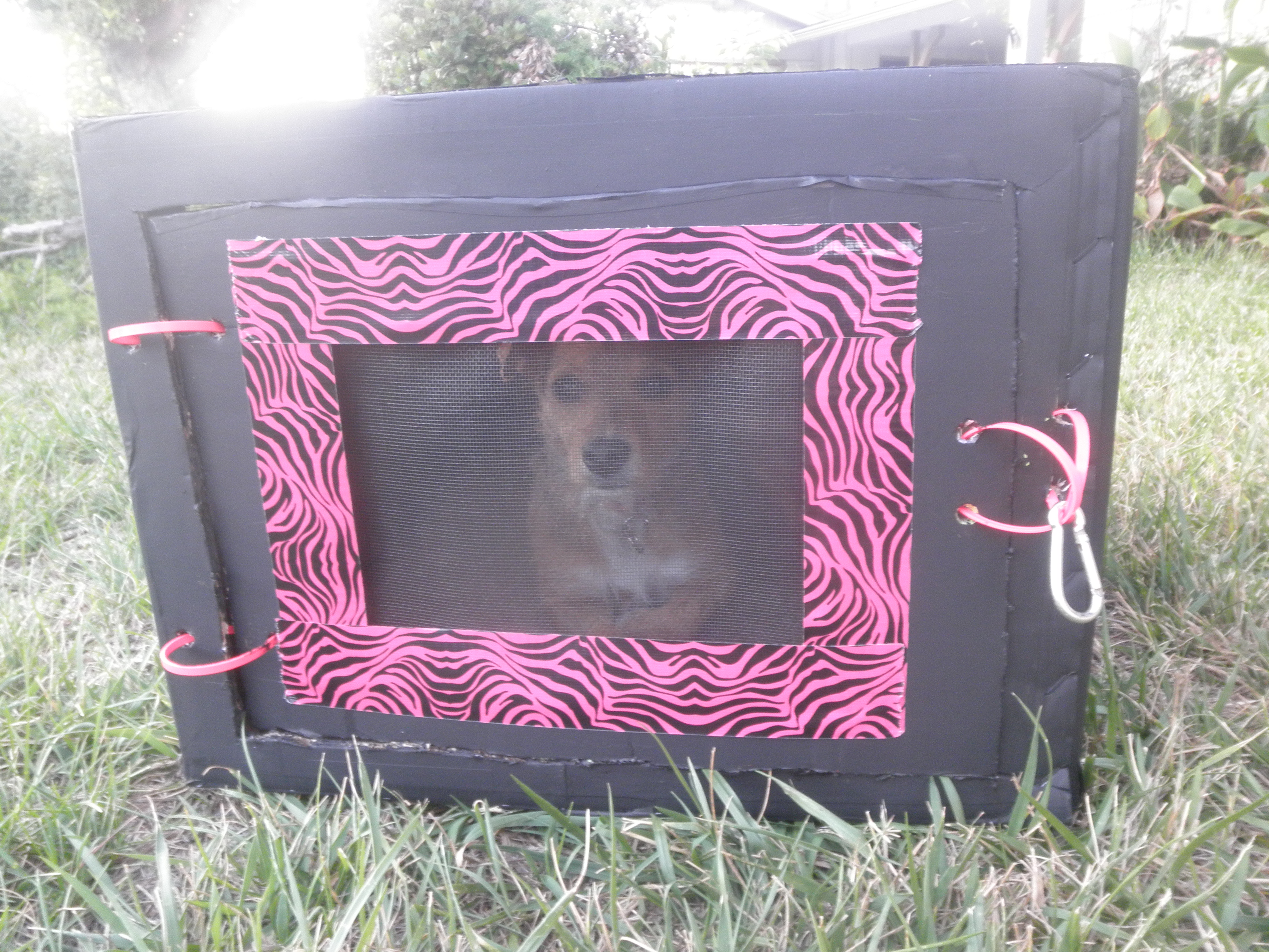 cardboard dog crate 053.JPG