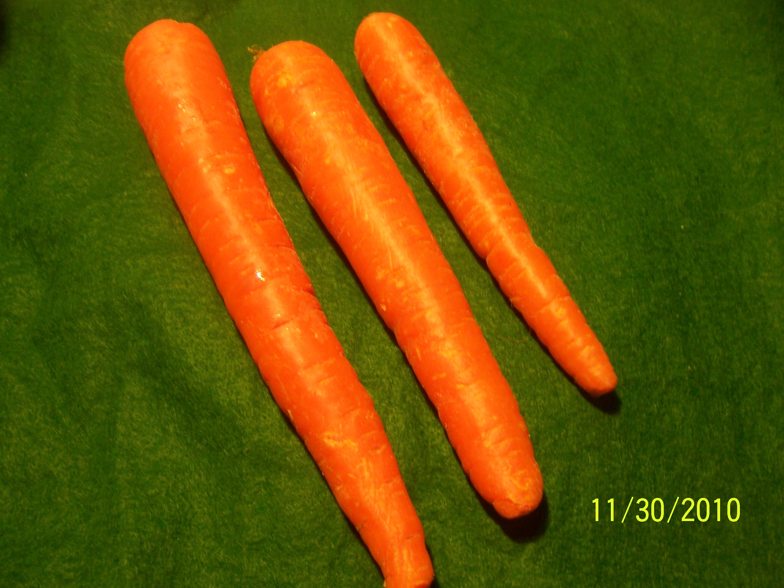 carrots.JPG