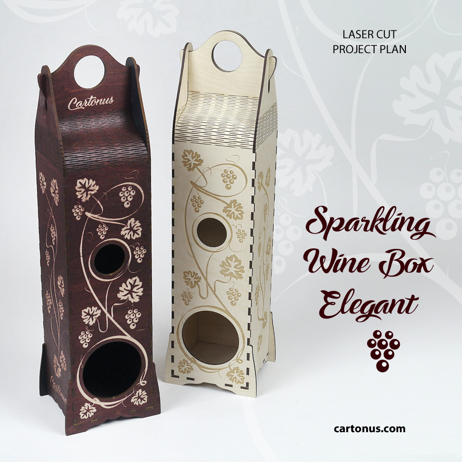 cartonus-sparkling-wine-box-elegant-d1-2boxes.jpg