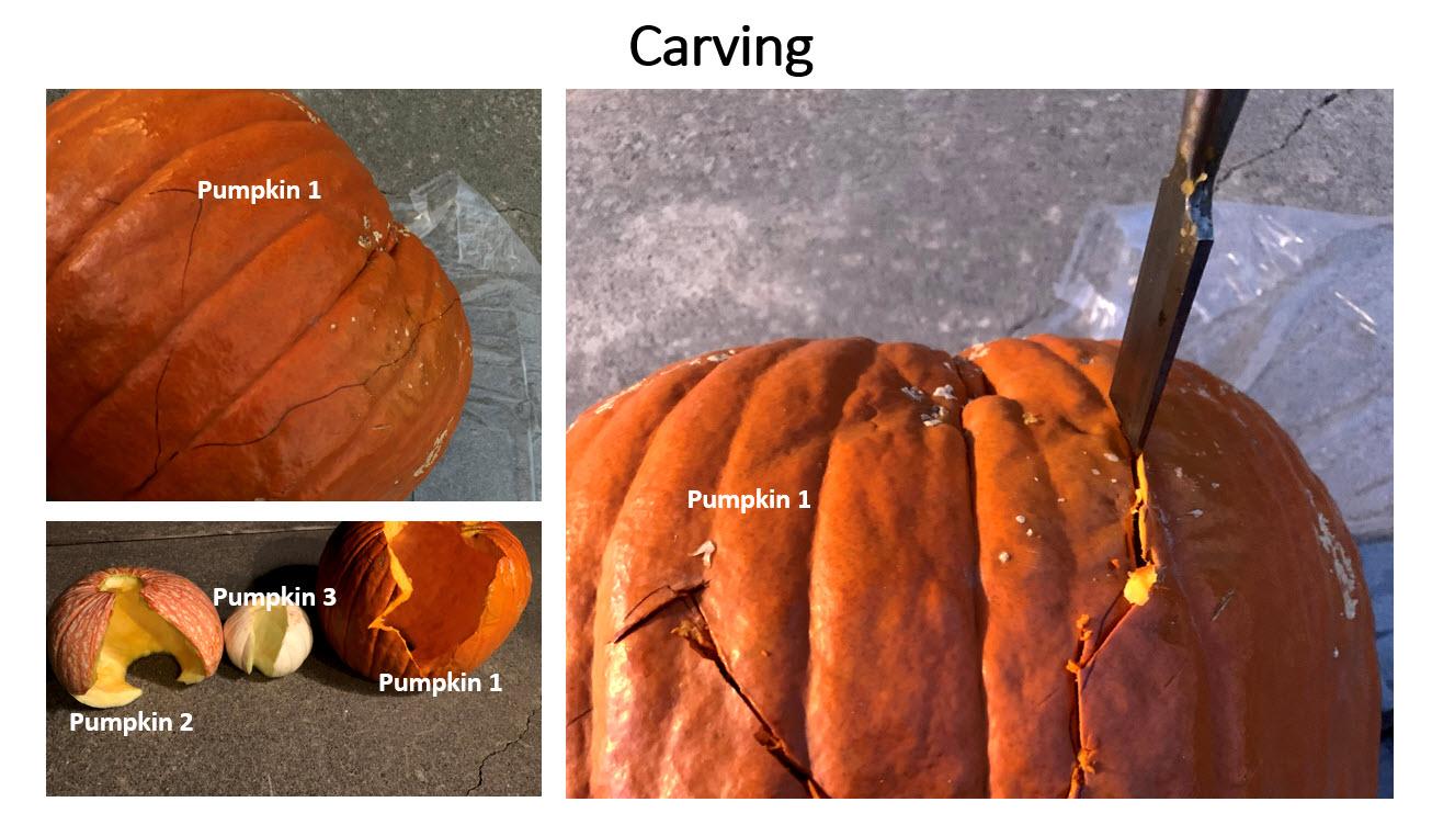 carve.jpg