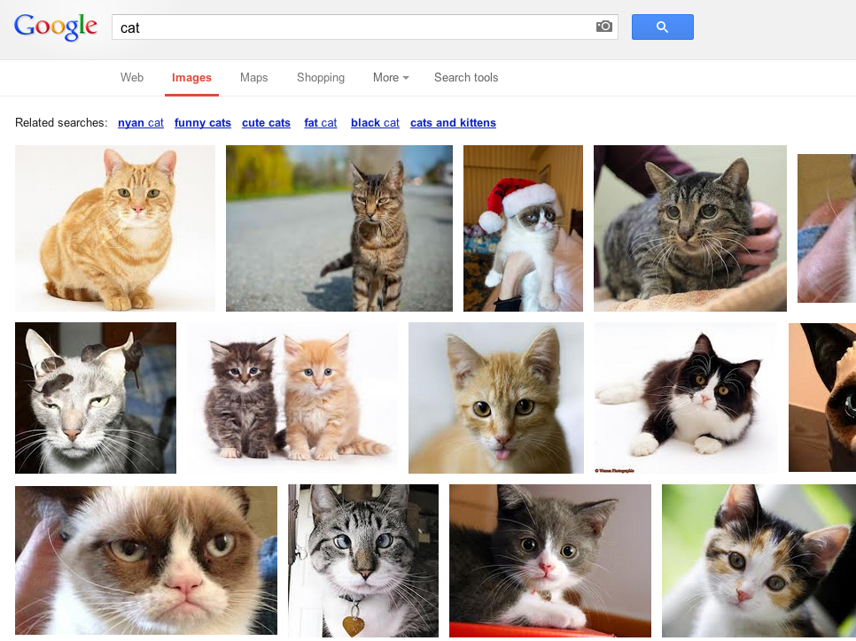 cat - Google Search.png