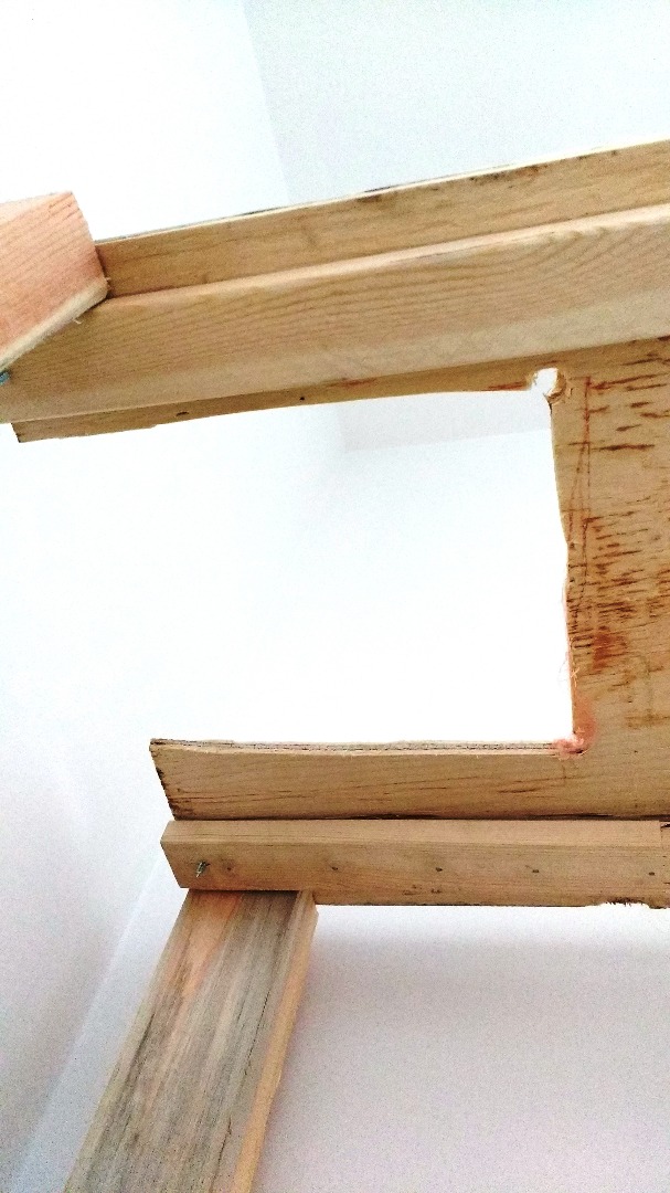 cat instructable 15.jpg