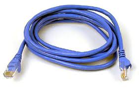 cat5 cable.jpg