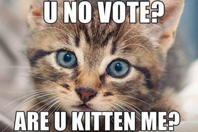 catmeme.jpg