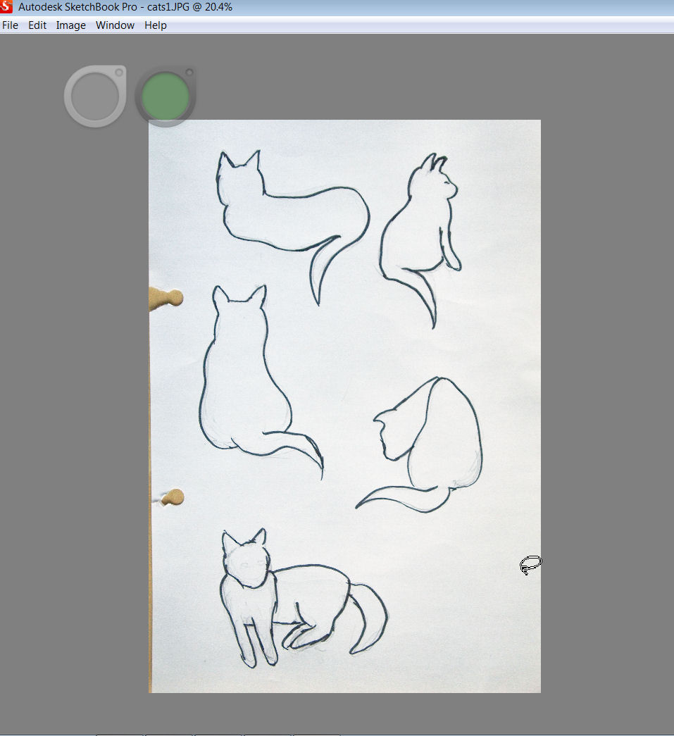 catsketch.jpg