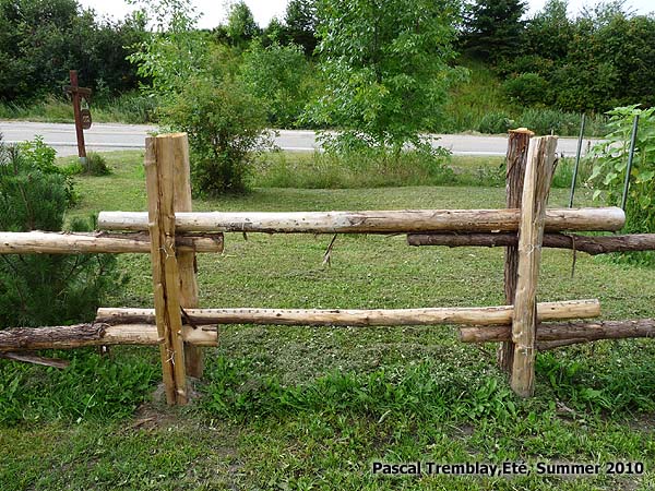 cedar_fence_2010_27.jpg