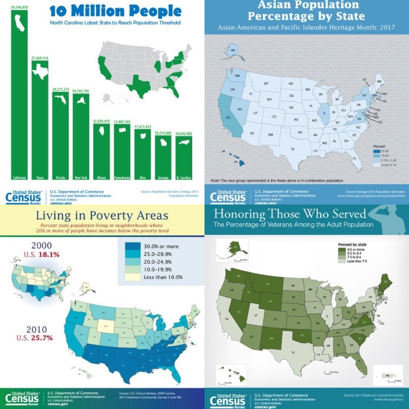 census collage.png