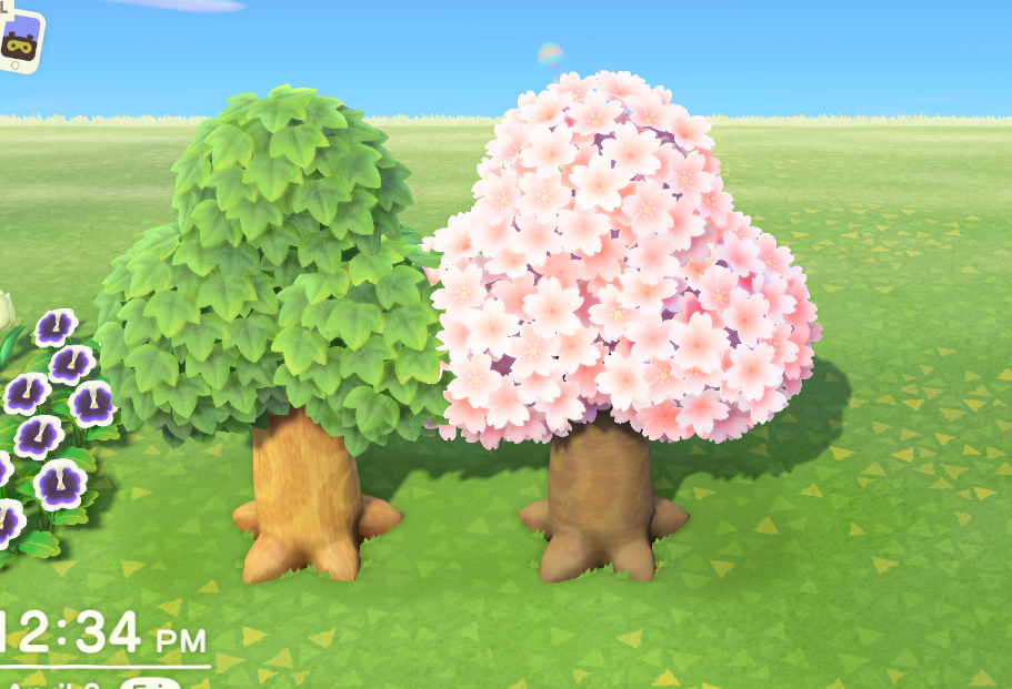 cherry blossom copared to other tree animal crossing.PNG