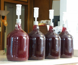 cherry-wine-fermentation-300x249.jpg