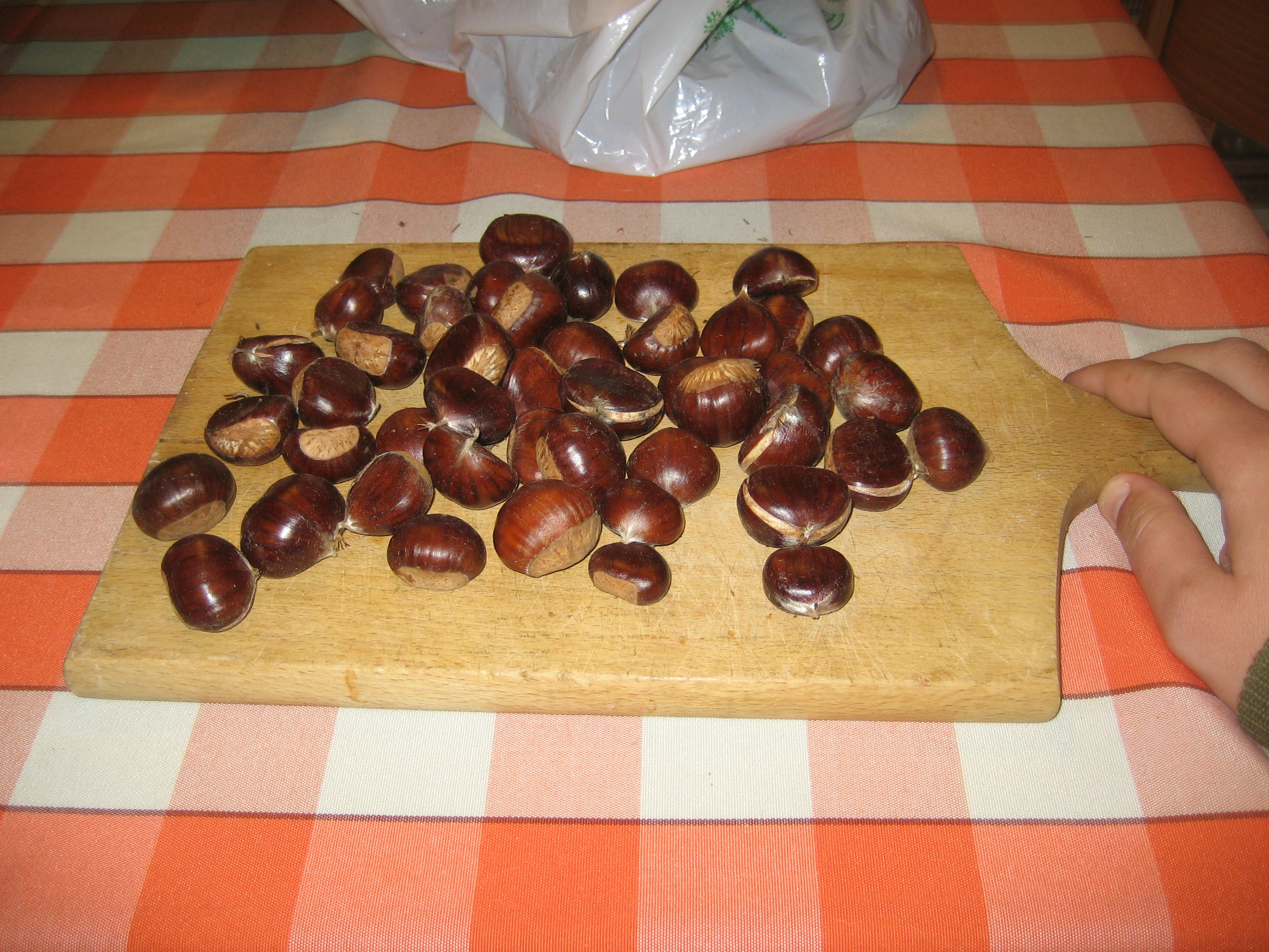 chestnut 001.jpg