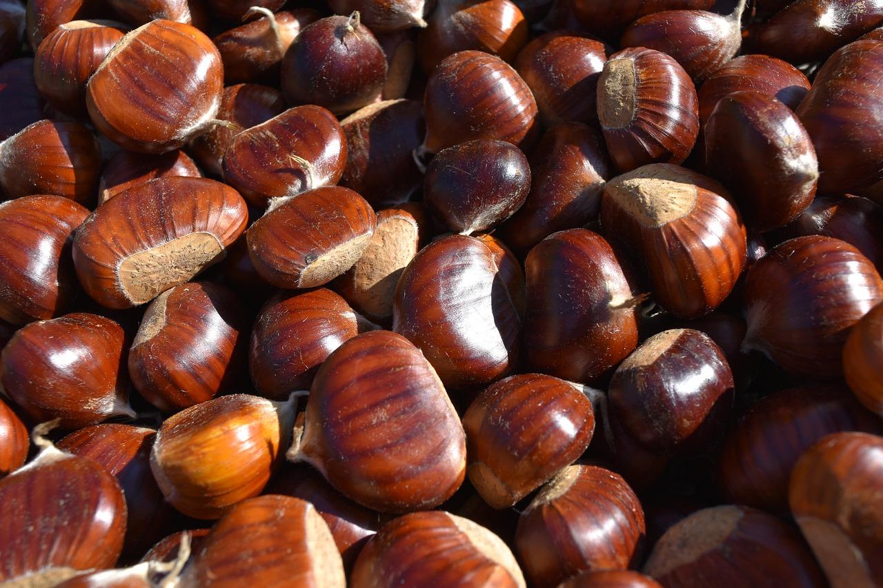 chestnuts-2831271_1280.jpg