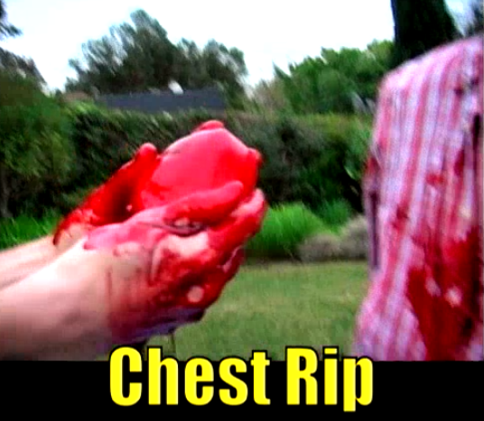 chestrip1.png