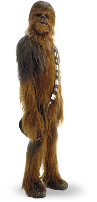 chewbacca_detail[1].png