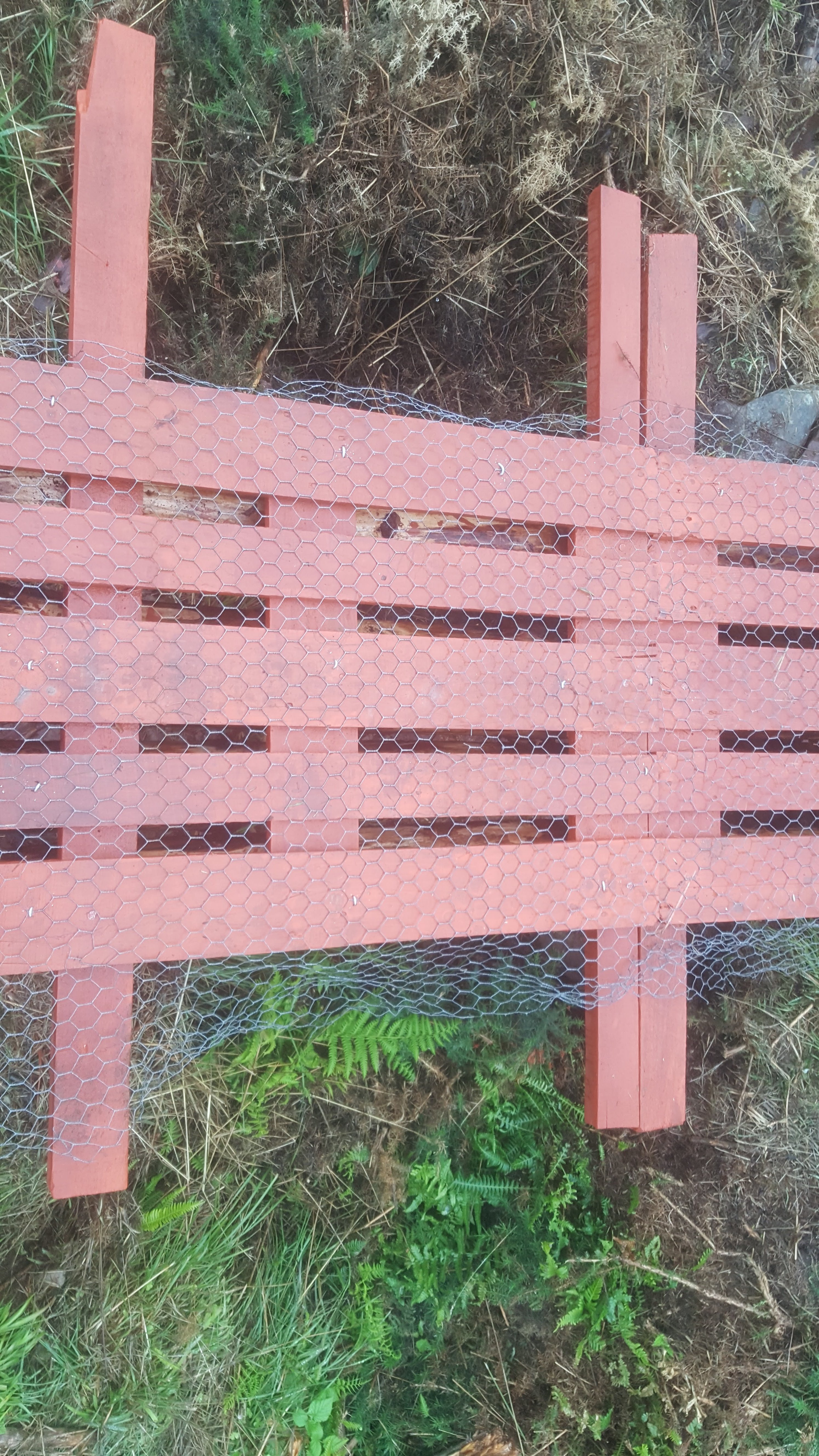 chicken wire tacked in.jpg