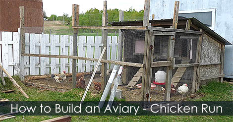 chicken-coop-and-run.jpg