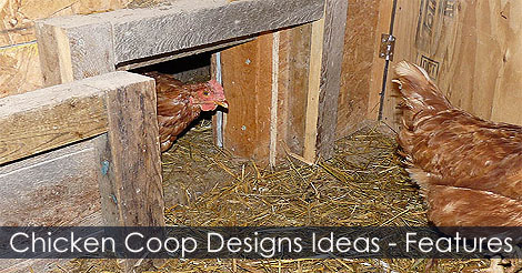 chicken-coop-designs-ideas-features.jpg