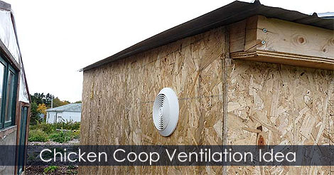 chicken-coop-ventilation.jpg