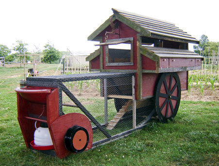 chicken_tractor_03.jpg