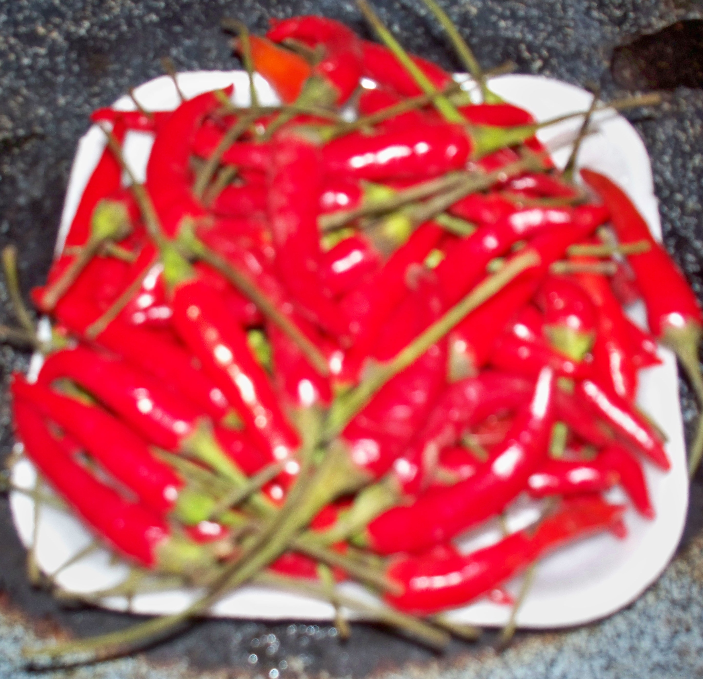 chile pepper 2.jpg