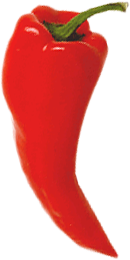 chilipeppr_logo.png