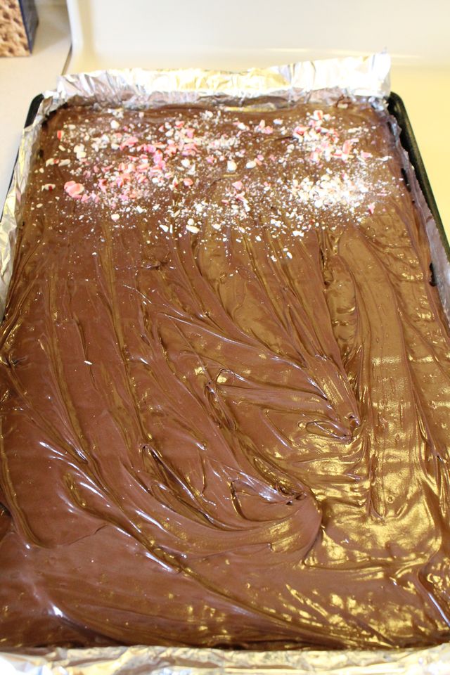 chocolate bark.jpg