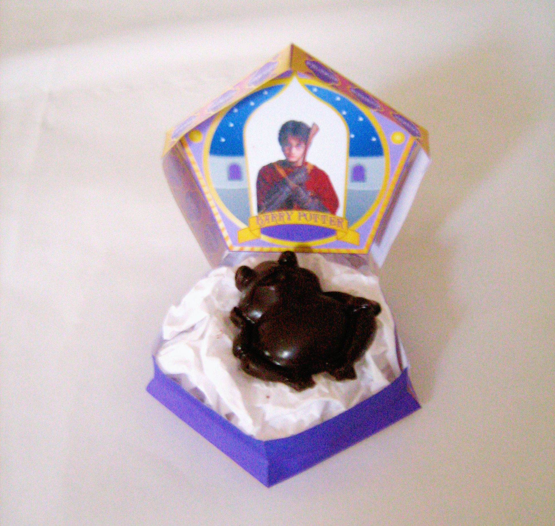 chocolate frog box alone.jpg