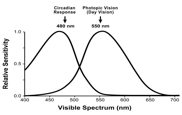 circadian.png