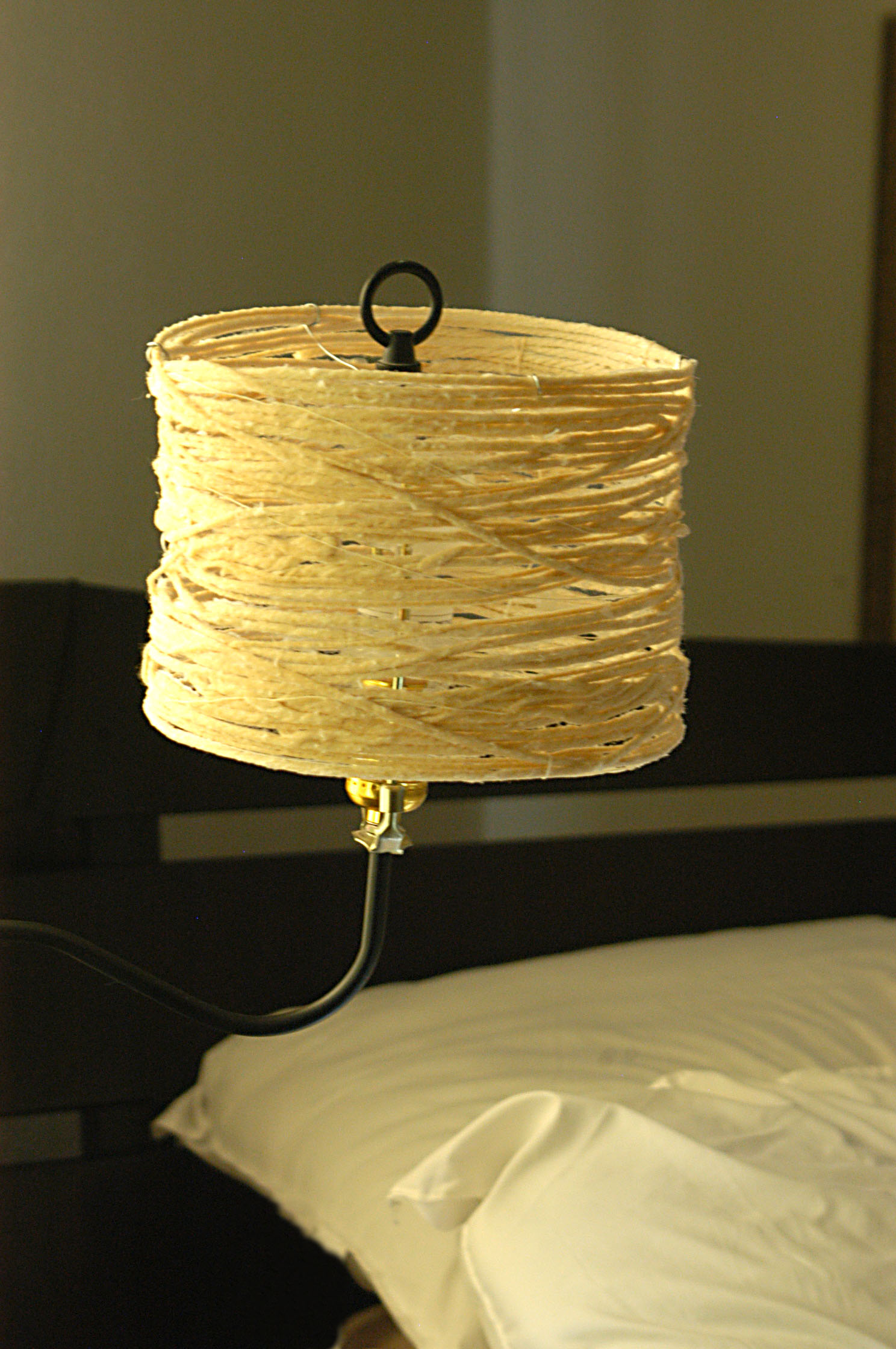 clearestpicoflampshade.jpg