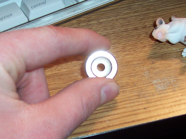 close up magnet in hand.jpg