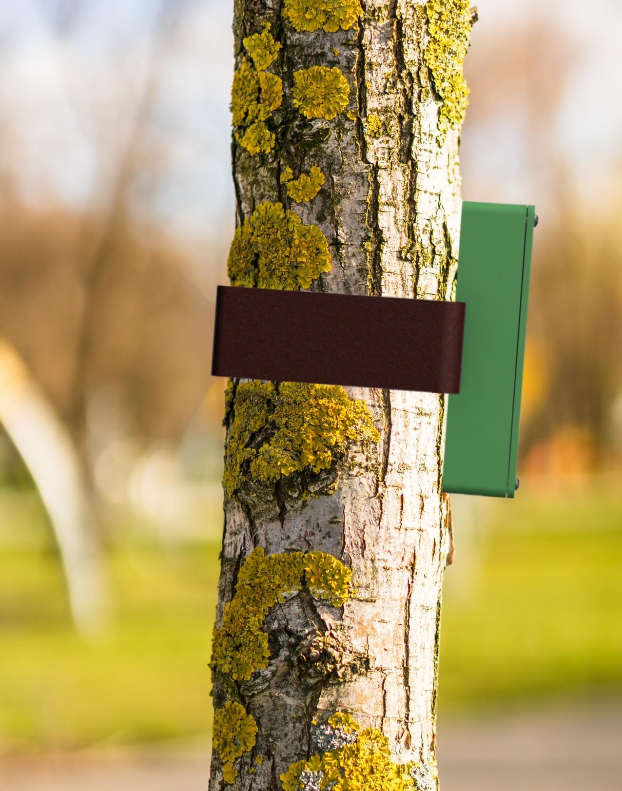 closeup-shot-tree-trunk-with-lichens-moss (1).jpg