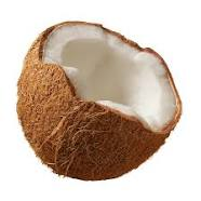 coconut.bmp