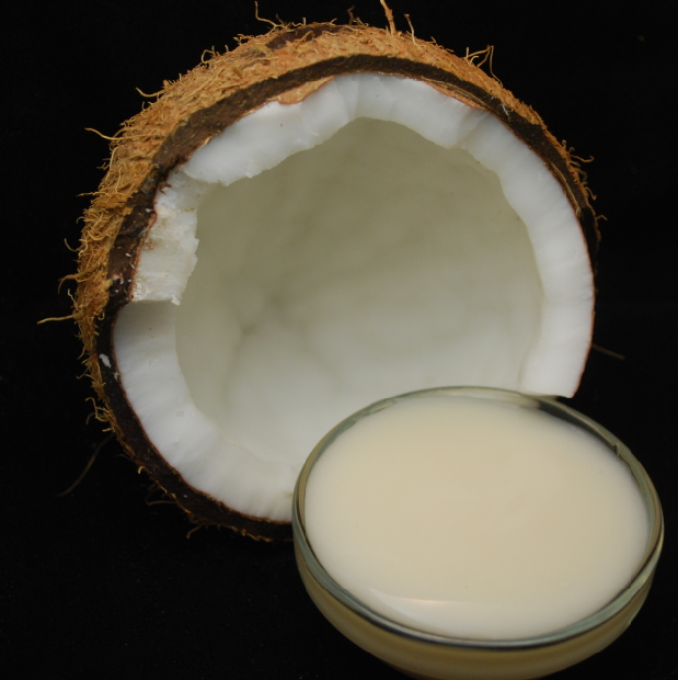 coconut2.bmp