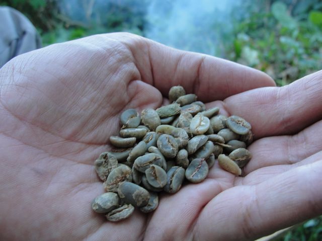 coffee roasting 10.jpg